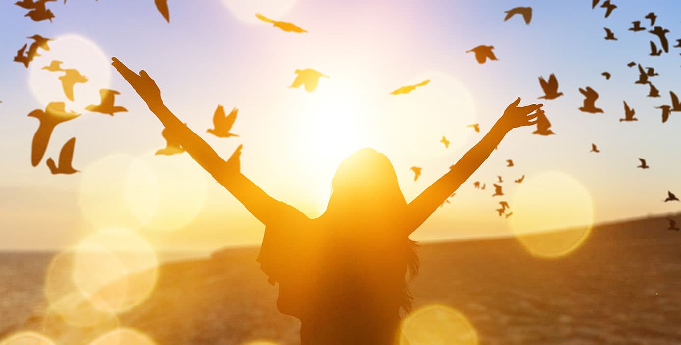 プロフェッショナルとして感動を提供